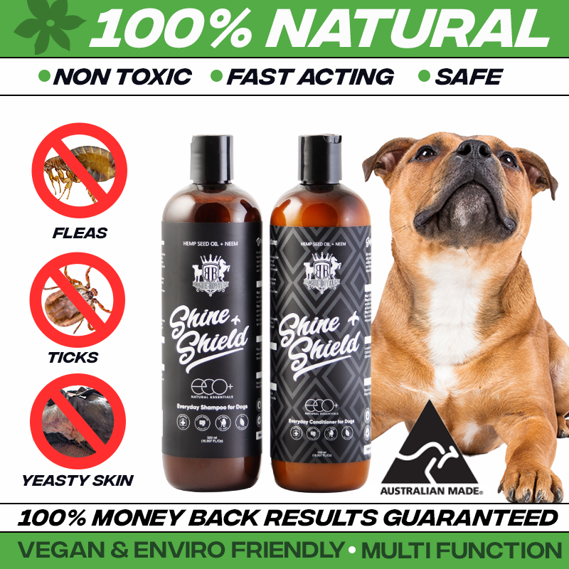 Natural dog 2024 flea shampoo