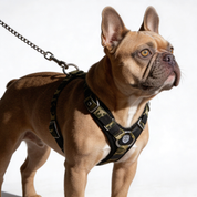 SUPATUFF® Dog Harness Camo (Slim Fit)