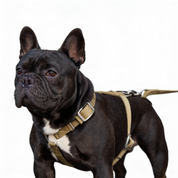 SUPATUFF® Strong Dog Harness Desert Wolf (Slim Fit)