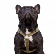 SUPATUFF® Strong Dog Harness Desert Wolf (Slim Fit)