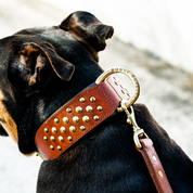 Hand Made Leather Dog Collar - RuffNeck Brown & Brass (Wide Fit)