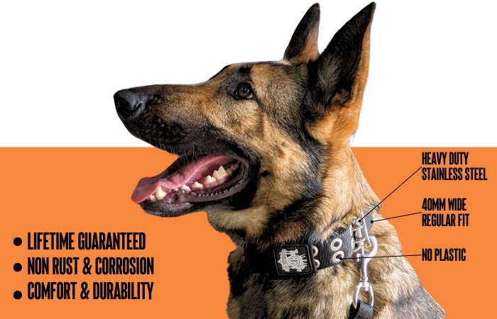 german-shepherd-dog-collar