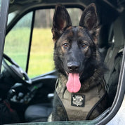 Dog Harness - Active X Green