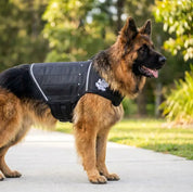 Canine Weight Vest - Camoflague