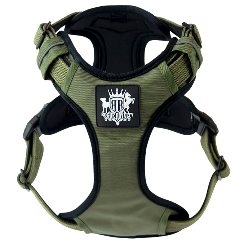 green-active-dog-harness