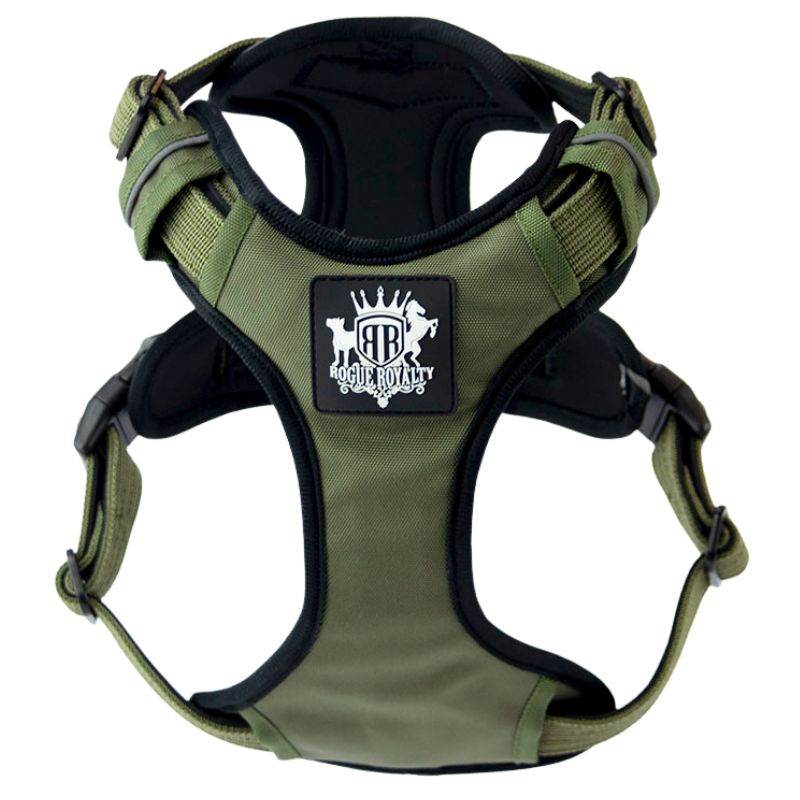 Dog Harness - Active X Green