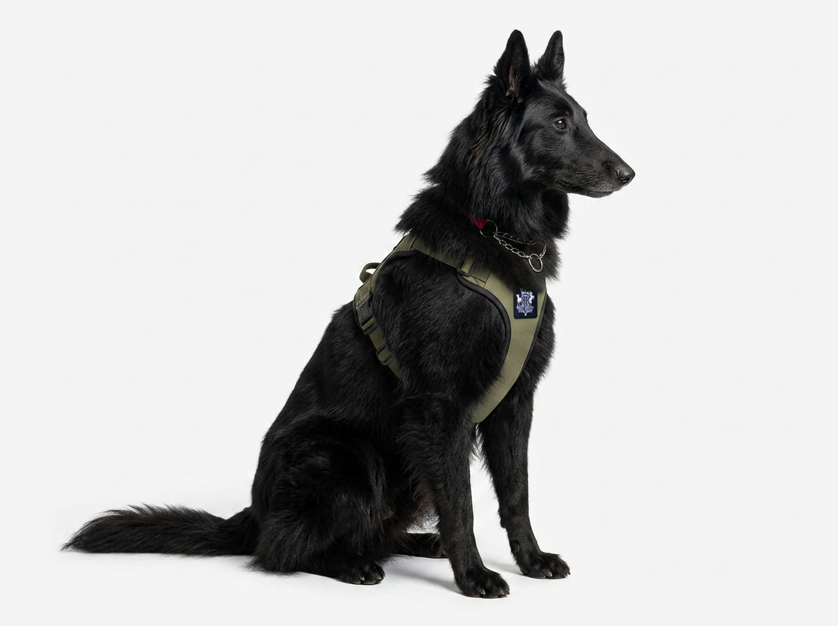 Dog Harness - Active X Green