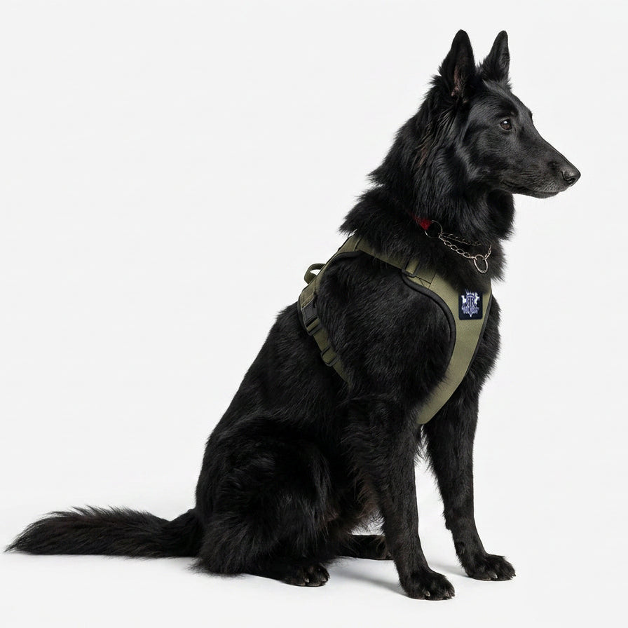 Active-X Lightweight Dog Harness – Green Clearance