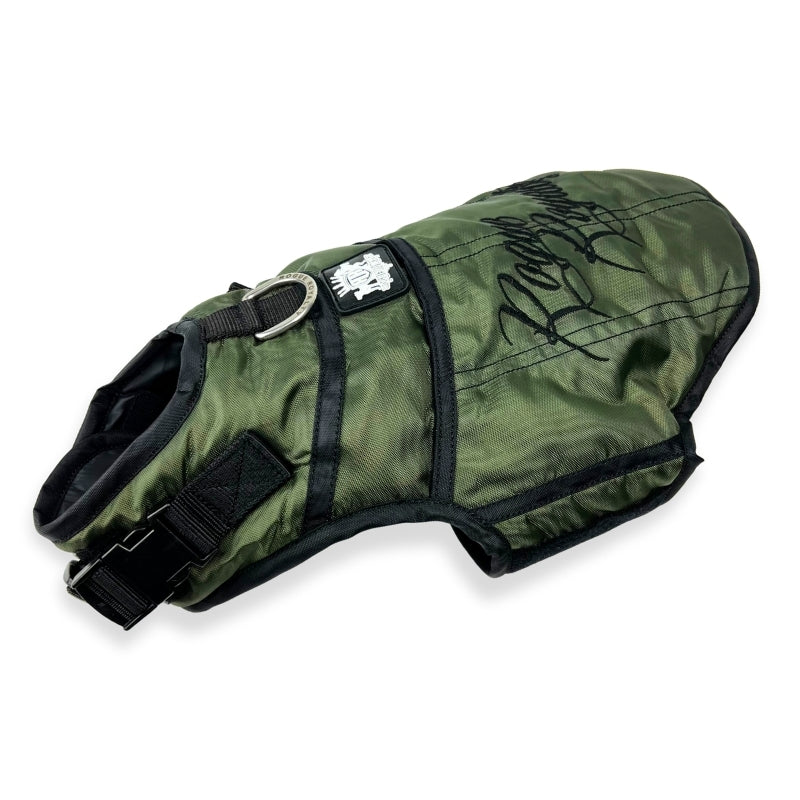 green-dog-jacket.jpg
