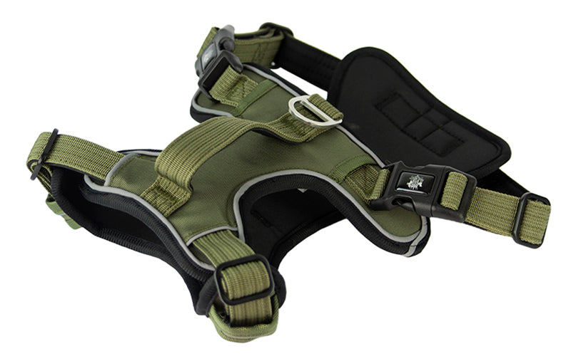 green-walking-dog-harness