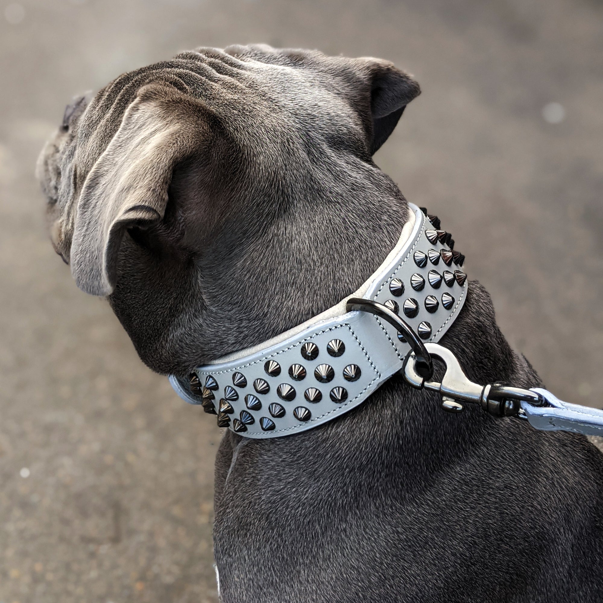 Hand Made Leather Dog Collar - Ruthless Grey & Black (Wide Fit)