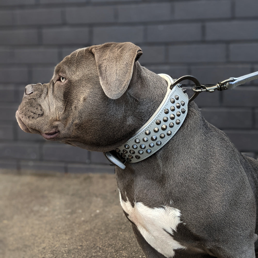 Hand Made Leather Dog Collar - Ruthless Grey & Black (Wide Fit)