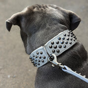 Hand Made Leather Dog Collar - Ruthless Grey & Black (Wide Fit)