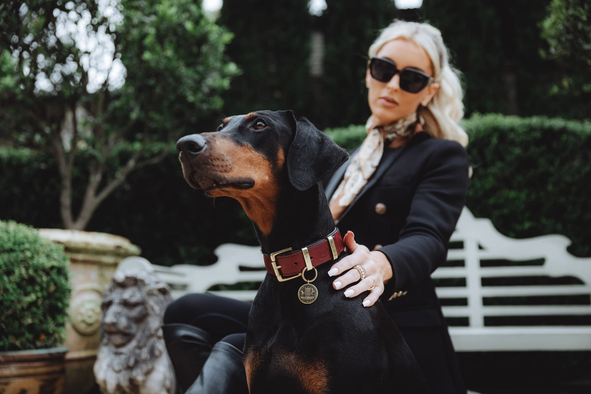 Handmade-Leather-Dog-Collars