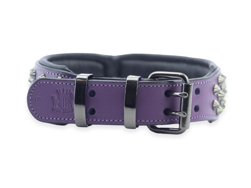 Rear view of handmade purple leather dog collar with black spikes and fittings.