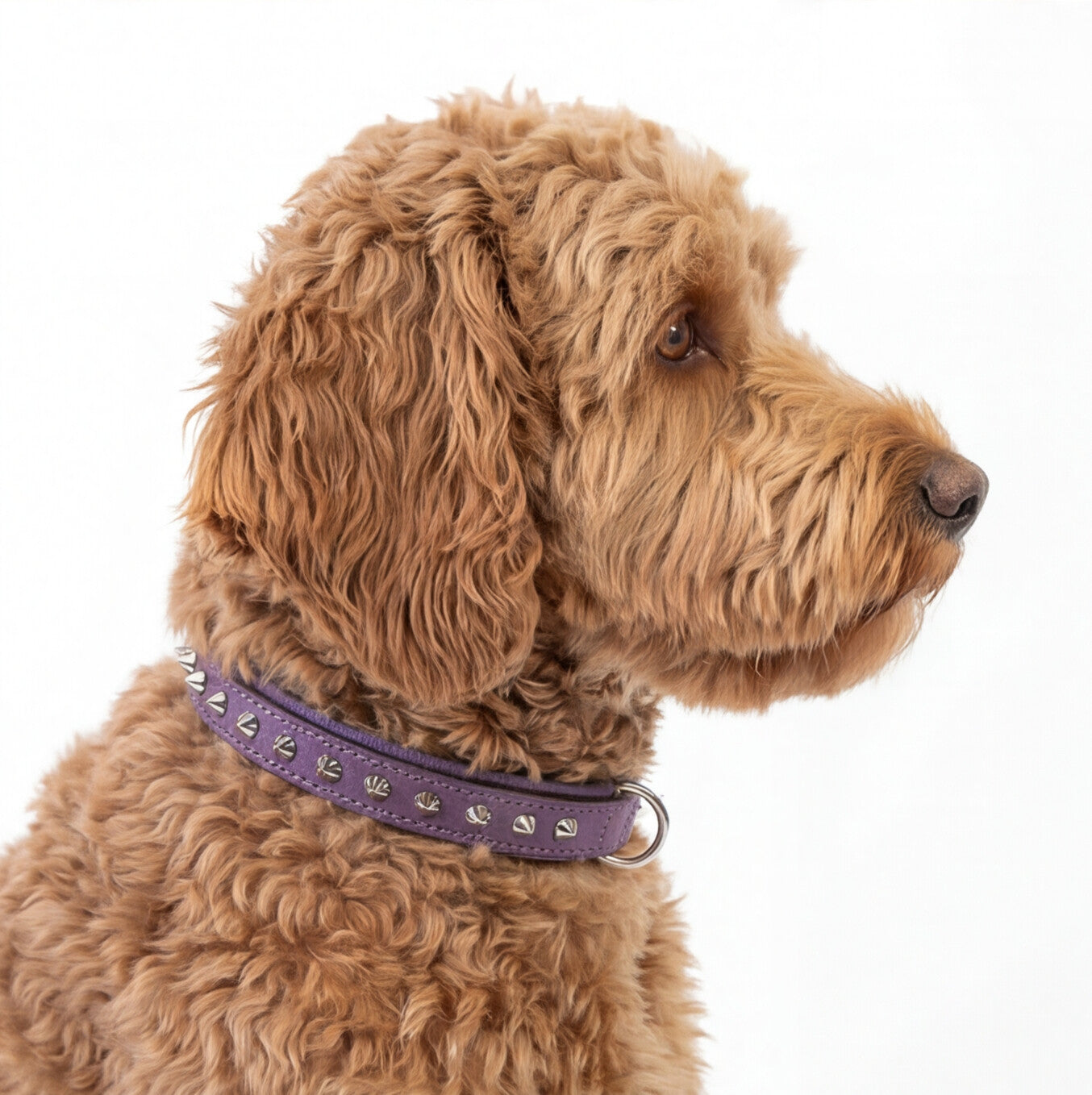 Hand Made Leather Dog Collar - Imperial Purple & Chrome (Slim Fit)