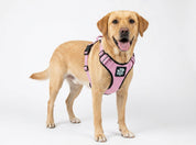 Dog Harness - Active X Pink