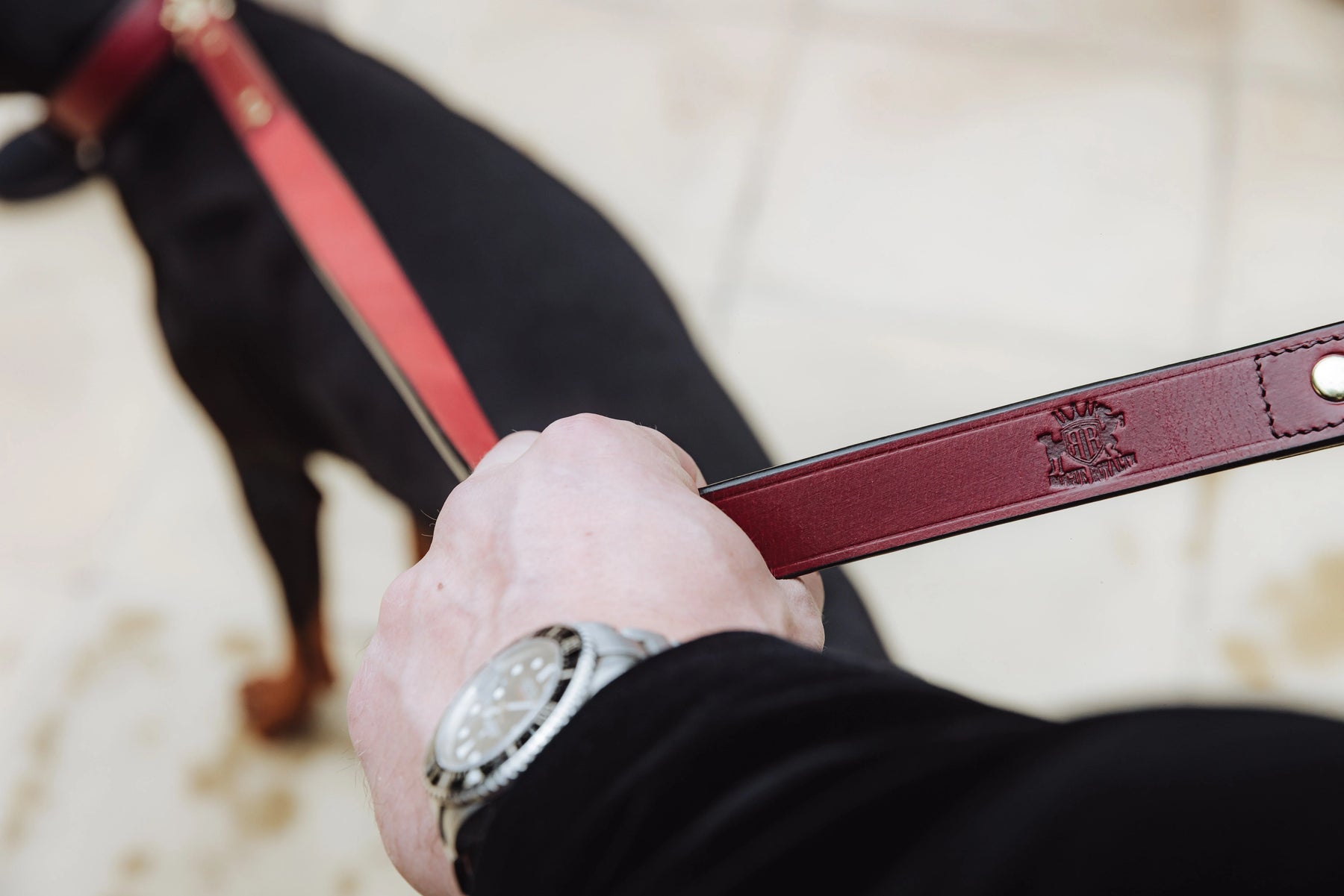 Assorted Rogue Royalty dog leashes and leads in leather, nylon and chain styles