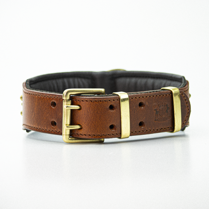 leather-brass-dog-collar-4.png