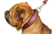 leather-burgundy-dog-collar