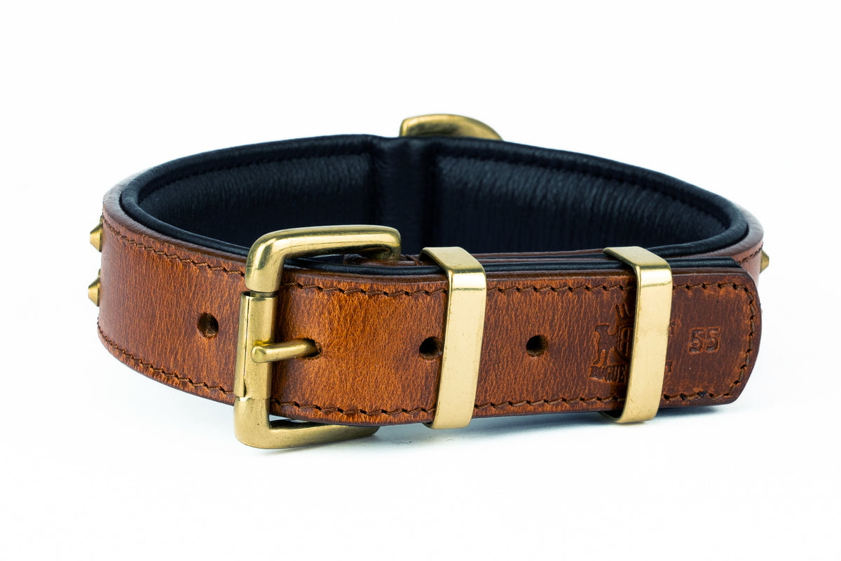 Rear view of regular fit hand made brown leather dog collar with brass keepers and buckle for strong dogs and durability.
