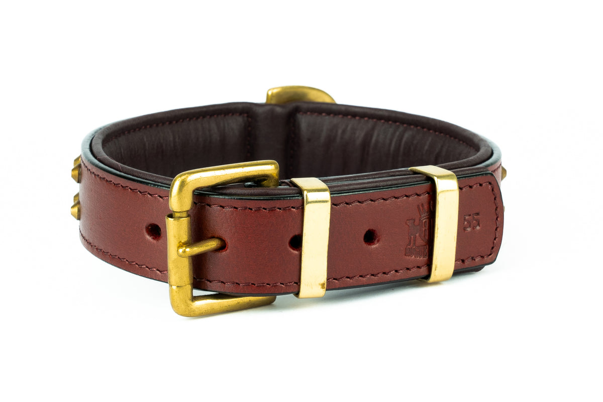Cherry leather dog collar with brass fittings