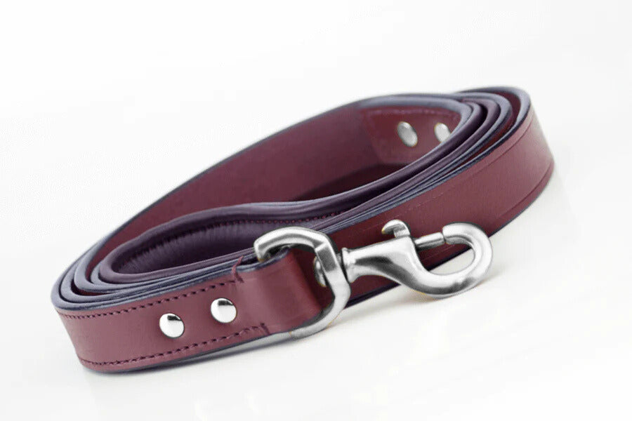 leather-dog-leash-cherry_a1801ffd-8918-432b-ae5f-71330b55a207_2048x2048_-_Edited.jpg