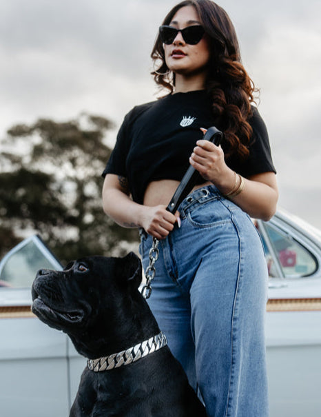 lowrider-chain-link-2.jpg