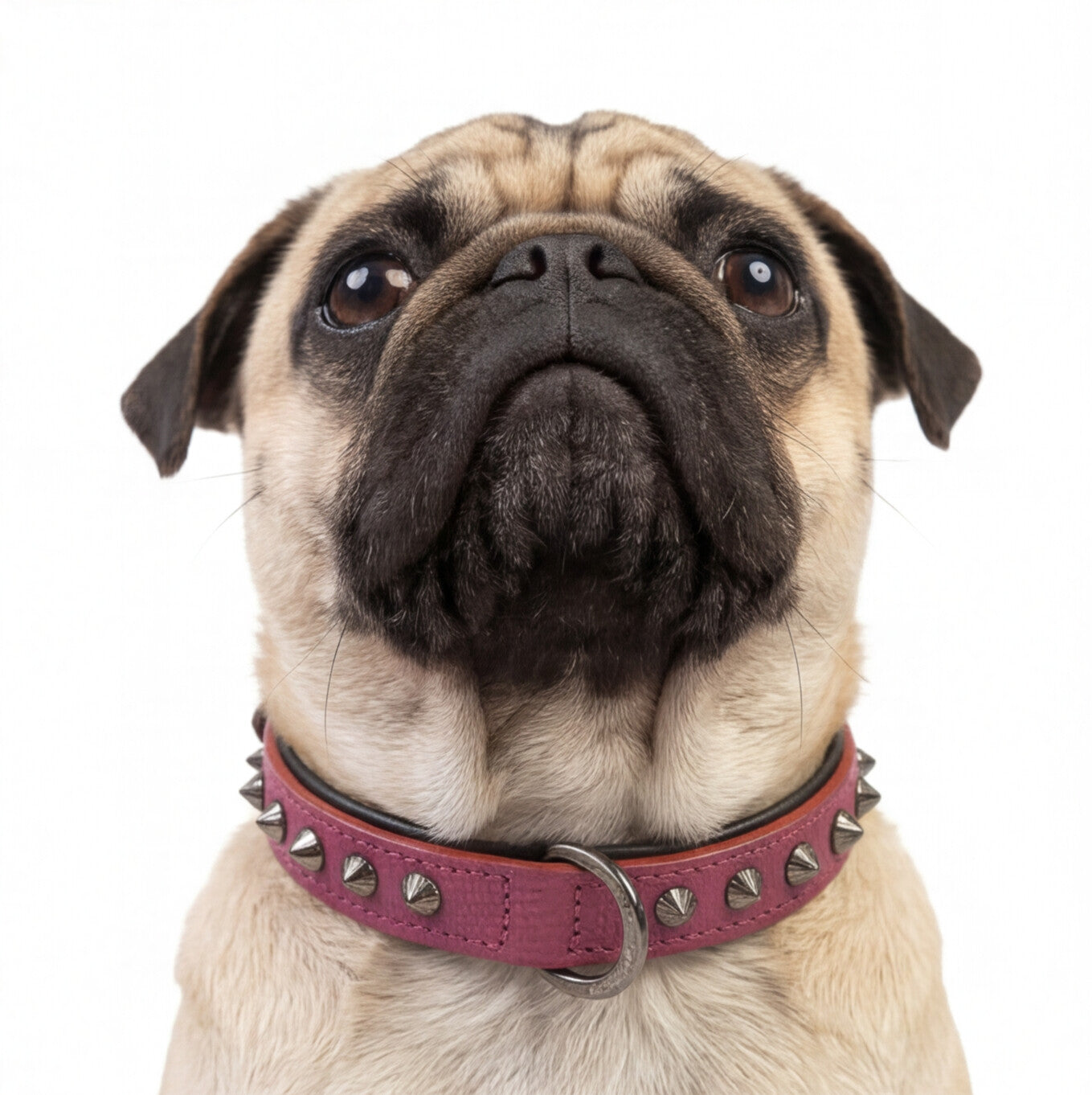 Hand Made Leather Dog Collar - Ruthless Pink & Black (Slim Fit)