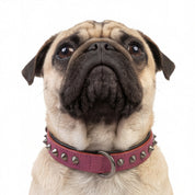 Hand Made Leather Dog Collar - Ruthless Pink & Black (Slim Fit)