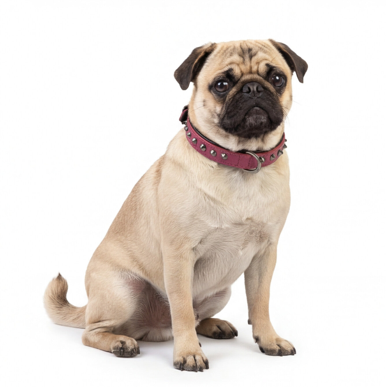 Hand Made Leather Dog Collar - Ruthless Pink & Black (Slim Fit)