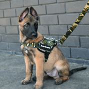 Small Dog Harness - Quick Fit Camo - On Sale