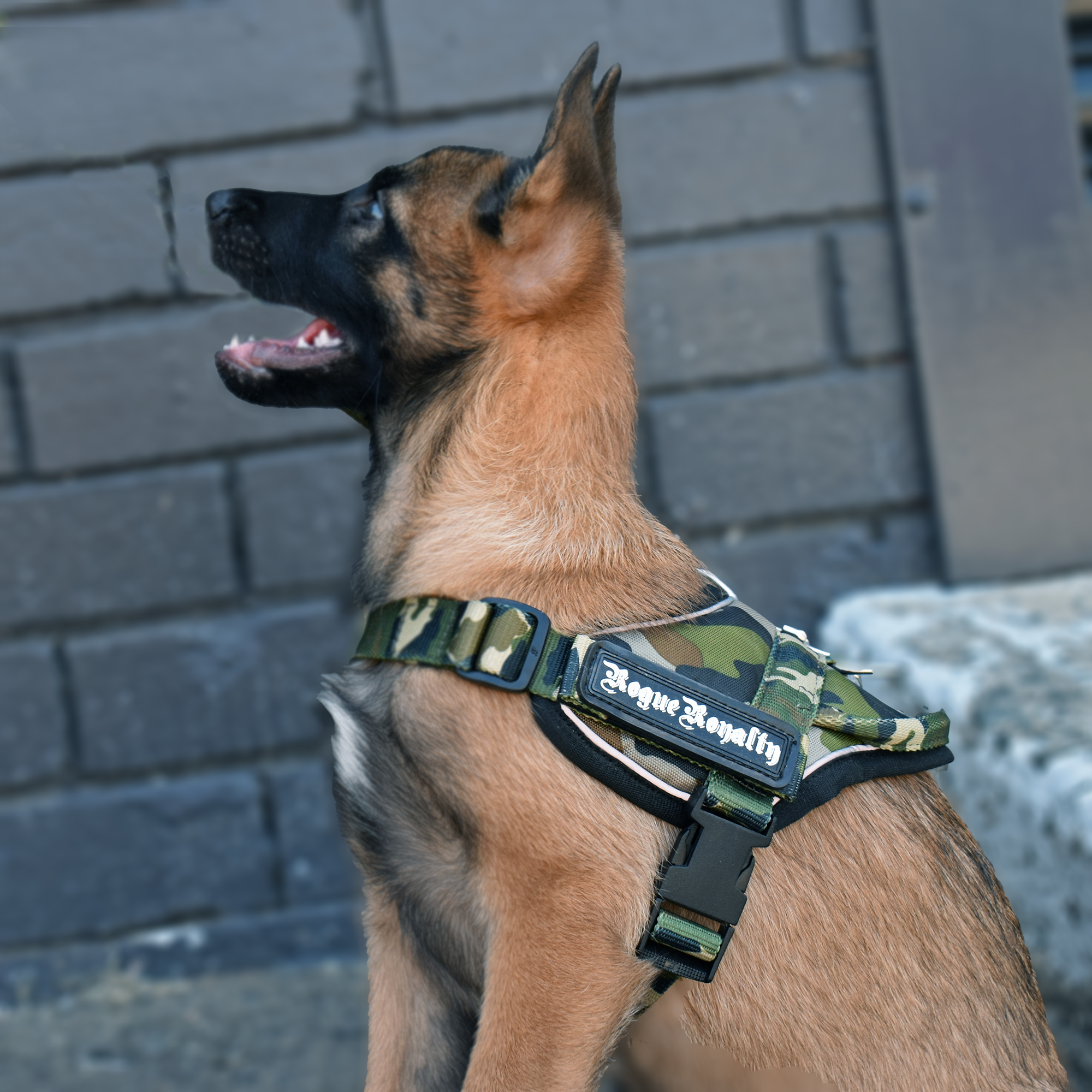 Small Dog Harness - Quick Fit Camo - On Sale