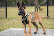 SUPATUFF® Strong Dog Harness Shadow Green (Slim Fit)