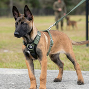 SUPATUFF Strong Dog Harness Shadow Green Color Slim Fit Size