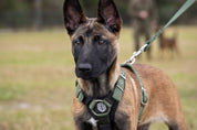 SUPATUFF® Strong Dog Harness Shadow Green (Slim Fit)