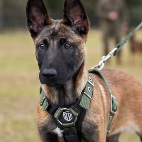 SUPATUFF Strong Dog Harness Shadow Green Color Slim Fit Size