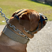 Short-Nose Muzzle - Leather Basket