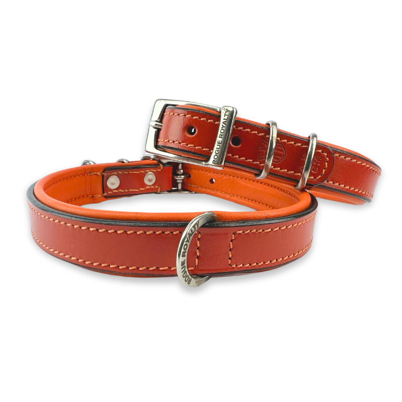 orange leather dog collars