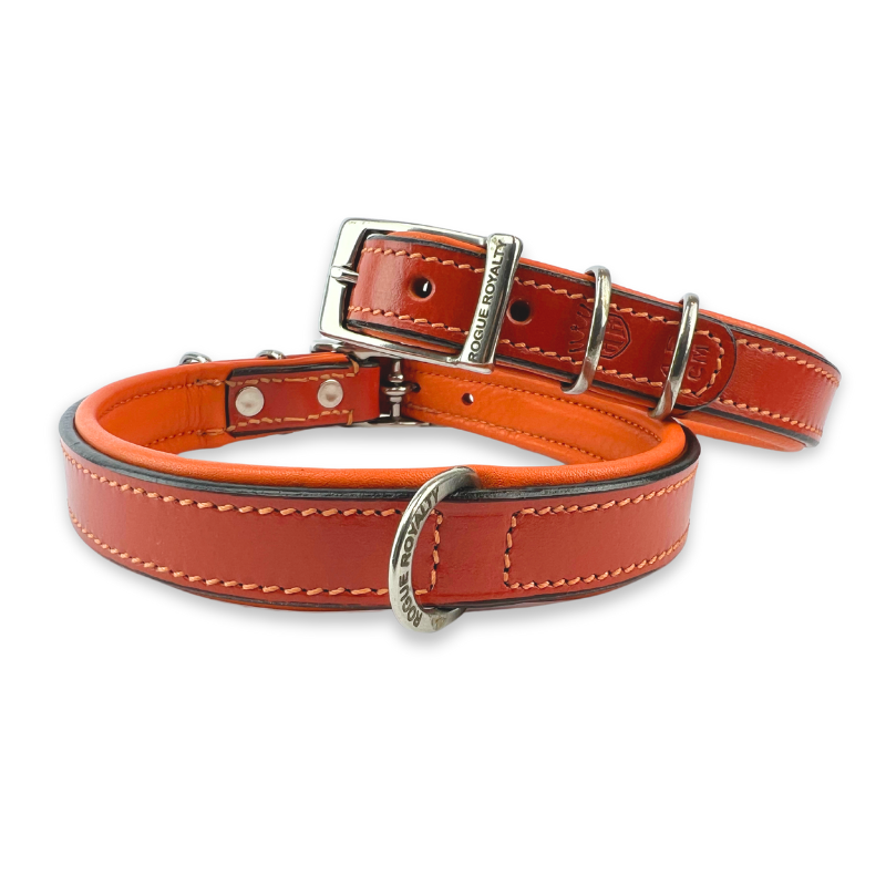 Hand Made Leather Dog Collar Tuscan Orange Slim Fit hand-made-leather-dog-collar-tuscan-orange-slim-fit