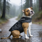 Rogue Active Dog Jacket - Black