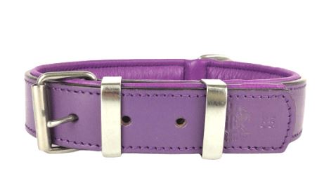 Handmade Leather Dog Collar Classic Purple &amp; Chrome (Regular Fit)