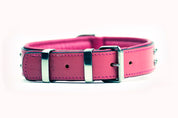 pink dog collar regular ruffneck