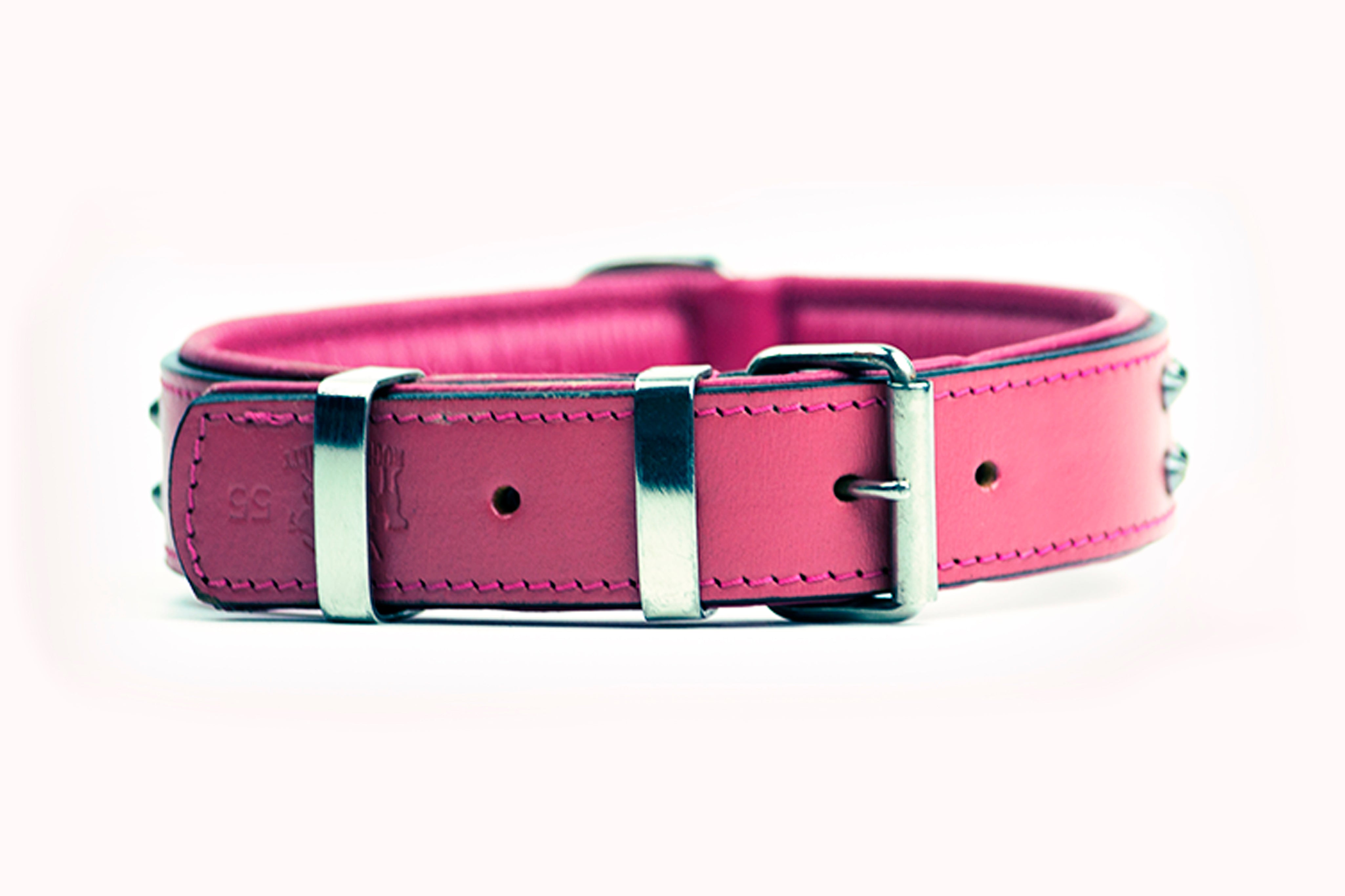 pink dog collar regular ruffneck