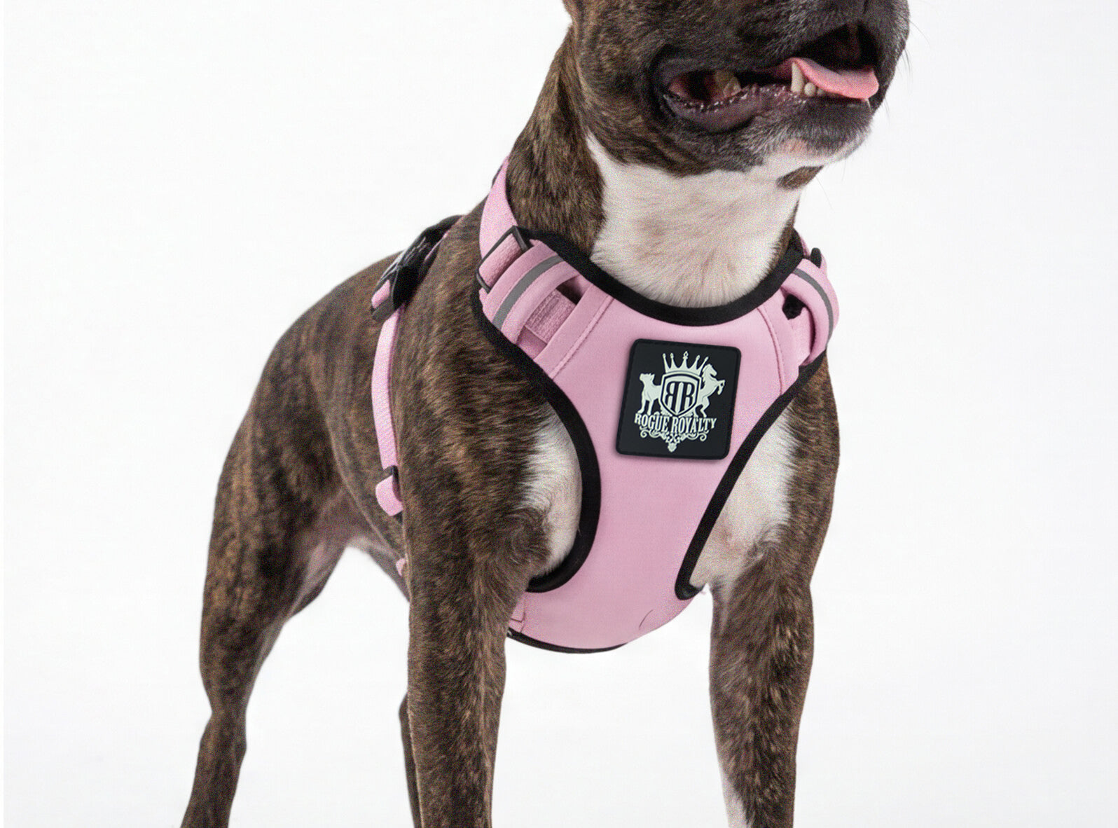 Dog Harness - Active X Pink