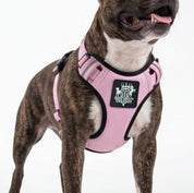 Dog wearing a pink support arness with a Rogue Royalty brand logo on a white background