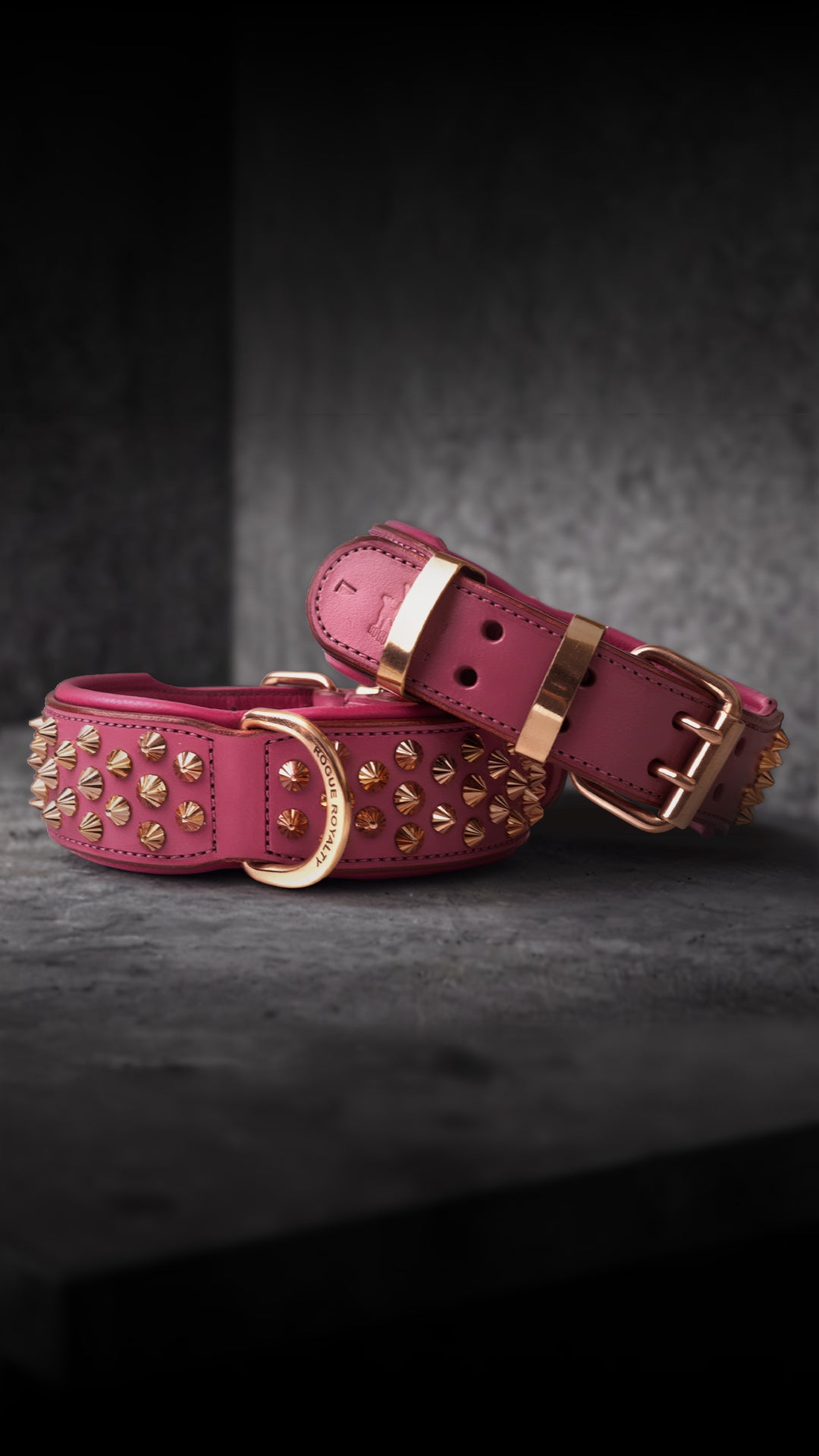 pink-gold-collar-ad-portrait.jpg