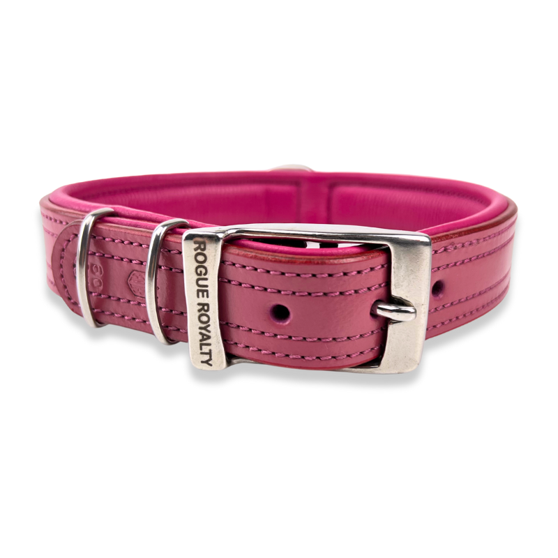 pink leather dog collar