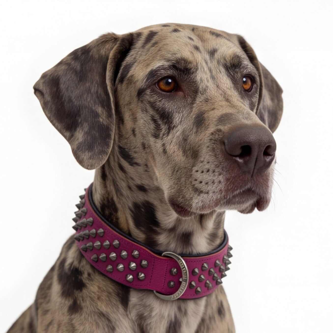 Hand Made Leather Dog Collar - Ruthless Pink & Black (Wide Fit)