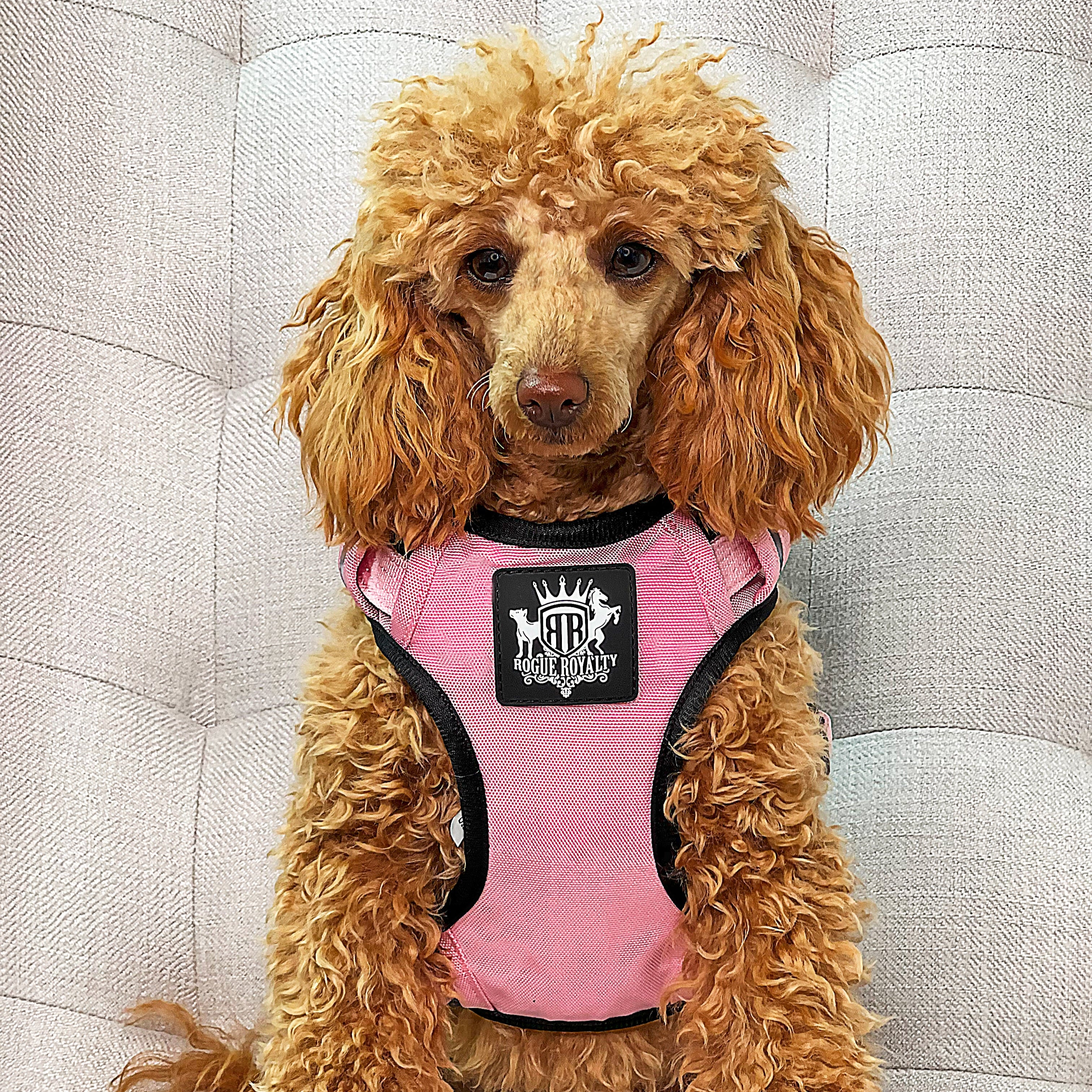 Active X Pink Dog Harness – Rogue Royalty - Main Image